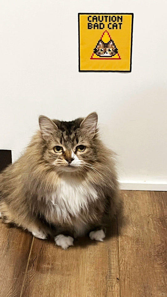 ⚠️ Caution: Bad Cat Warning